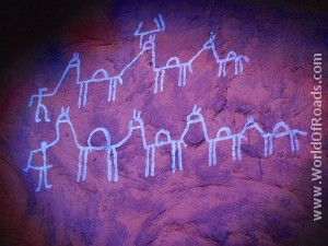 Camels. Rock arts. Gobustan