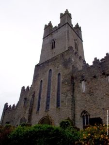 St. Mary's Cathedral. Limerick. Ireland.