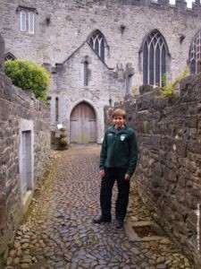 St. Mary's Cathedral. Limerick. Ireland.