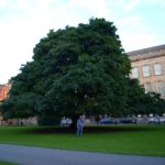 Trinity College. Dublin. Ireland.