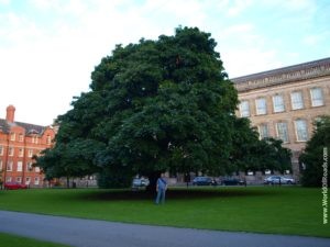 Trinity College. Dublin. Ireland.