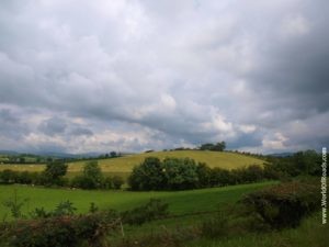 Coutnryside. Northern Ireland.