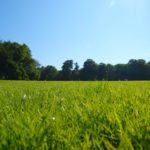 Ardgillan Castle lawns. Ireland.