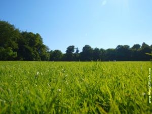 Ardgillan Castle lawns. Ireland.