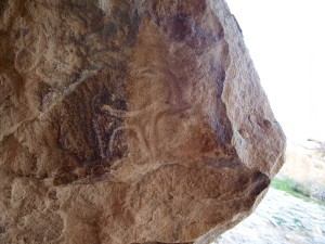 Изображение горного козла. Наскальные рисунки. Гобустан (Азербайджан)