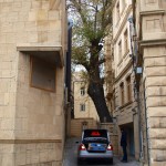 Narrow street. Baku.