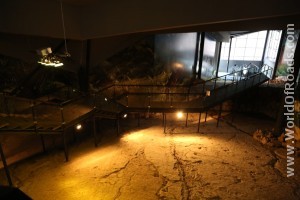 Заповедник Сатаплия. Следы динозавров.