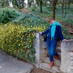 Ботанический Сад. Тбилиси. Весенние Цветы.