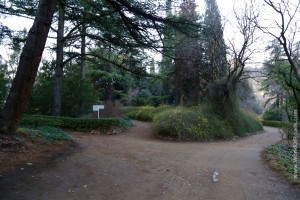 Ботанический Сад. Тбилиси.