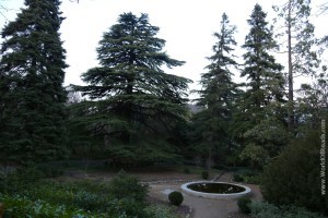 Ботанический Сад. Тбилиси.
