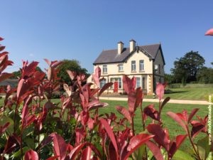 House in Ireland